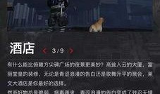 新季节爆料最新视频,精彩内容抢先看！