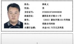 蒙阴县最新爆料消息新闻,揭秘当地发展新动态