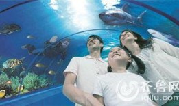 海底世界最新爆料,揭秘海底世界最新爆料