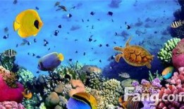 海底世界最新爆料,揭秘海底世界最新爆料