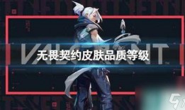 无谓契约最新皮肤爆料,神秘力量觉醒，视觉盛宴即将开启